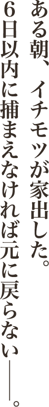 ある朝、イチモツが家出した。６日以内に捕まえなければ元に戻らない──。